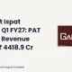 Gallantt Ispat Limited Gallantt Q1 FY27 Results