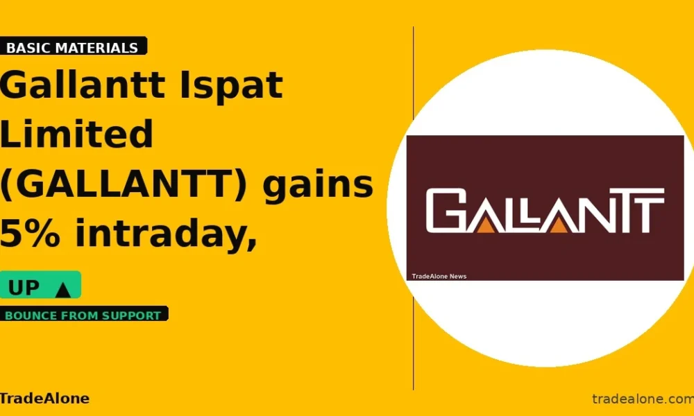 Gallantt Ispat Limited GALLANTT bounces from support