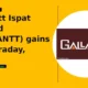 Gallantt Ispat Limited GALLANTT bounces from support