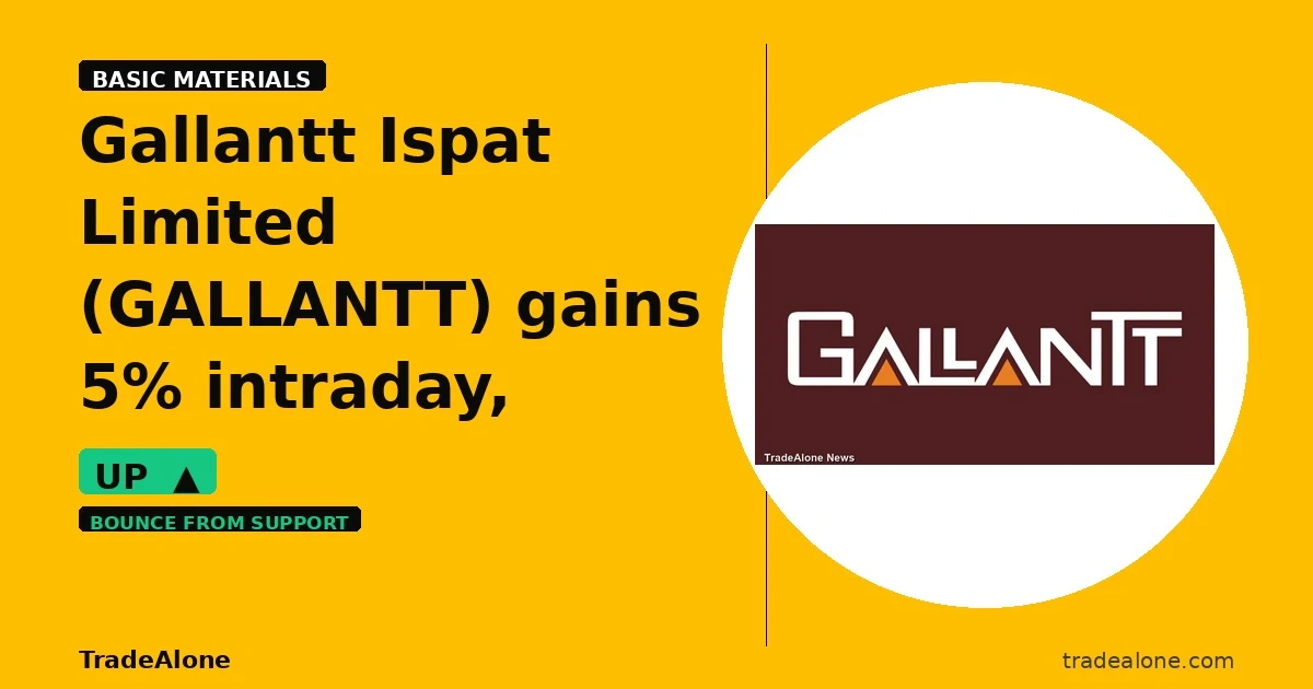 Gallantt Ispat Limited GALLANTT bounces from support