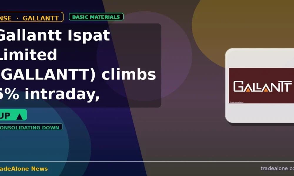 Gallantt Ispat Limited GALLANTT Q1 FY27 results