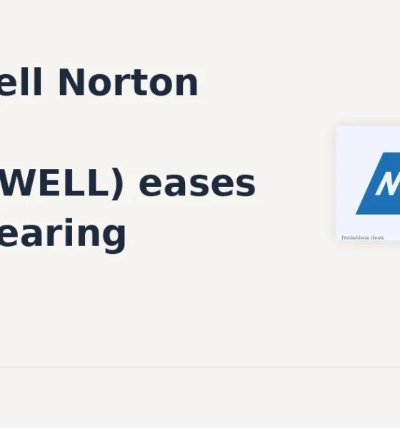 Grindwell Norton Limited GRINDWELL 10% fall