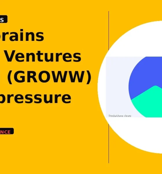 Billionbrains Garage Ventures Limited NSE GROWW intraday fall