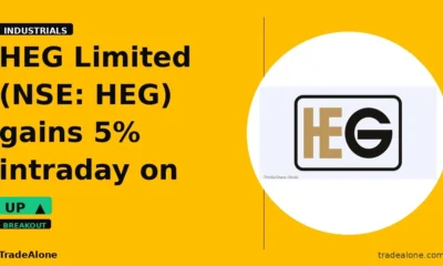 HEG Limited NSE HEG gains 5% intraday