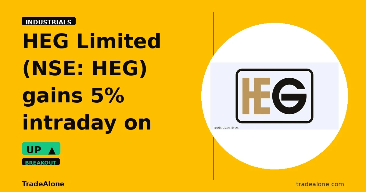 HEG Limited NSE HEG gains 5% intraday