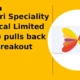 Himadri Speciality Chemical Limited HSCL pullback after breakout