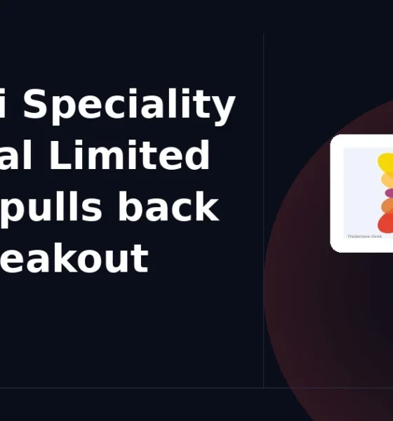 Himadri Speciality Chemical Limited HSCL falls 5% intraday