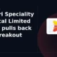 Himadri Speciality Chemical Limited HSCL falls 5% intraday