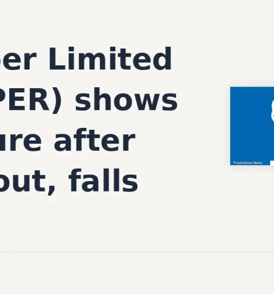 JK Paper Limited JKPAPER pulls back from breakout highs