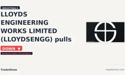 Lloyds Engineering Works Limited NSE: LLOYDSENGG intraday fall