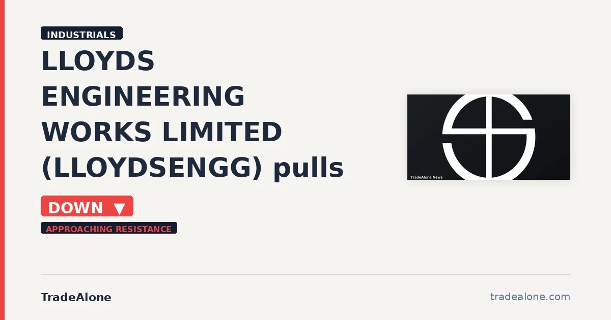 Lloyds Engineering Works Limited NSE: LLOYDSENGG intraday fall