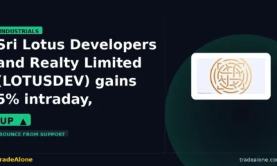 Sri Lotus Developers and Realty Limited LOTUSDEV bounces from support