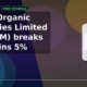 Laxmi Organic Industries Limited LXCHEM breakout