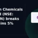 Neogen Chemicals Limited NSE: NEOGEN breakout