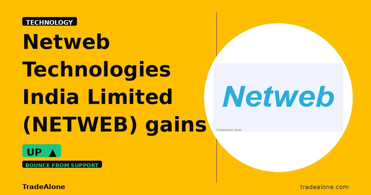 Netweb Technologies India Limited NETWEB gains 5% intraday