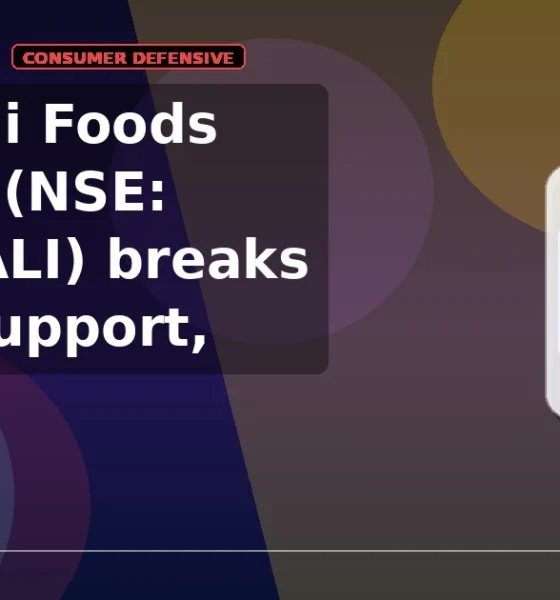 Patanjali Foods Limited NSE: PATANJALI breaks below support
