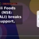 Patanjali Foods Limited NSE: PATANJALI breaks below support