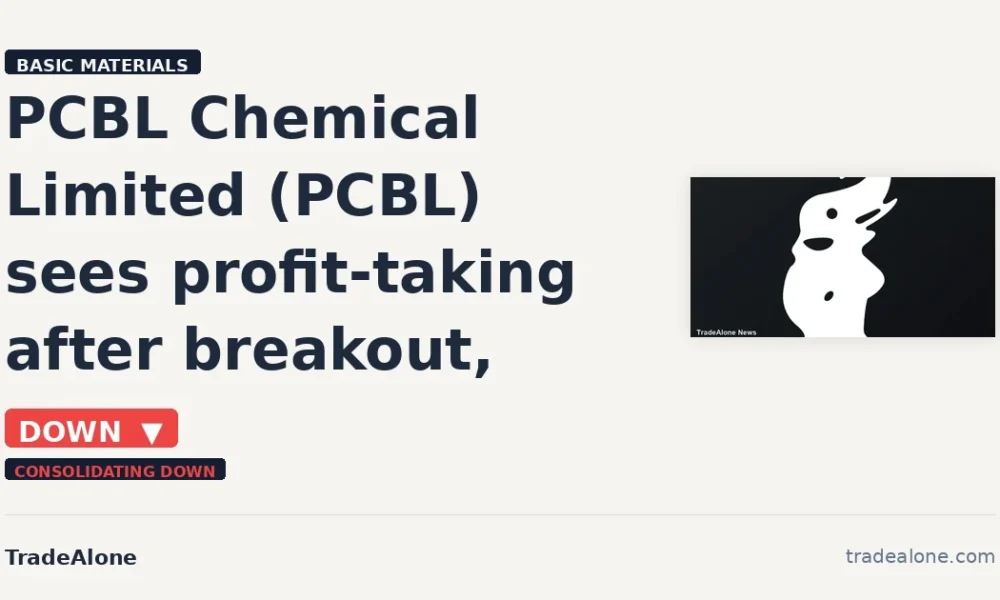 PCBL Chemical Limited NSE PCBL falls 5% intraday