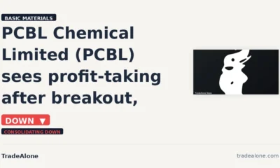PCBL Chemical Limited NSE PCBL falls 5% intraday