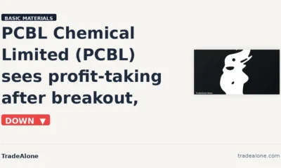 PCBL Chemical Limited NSE PCBL moves down 10% intraday