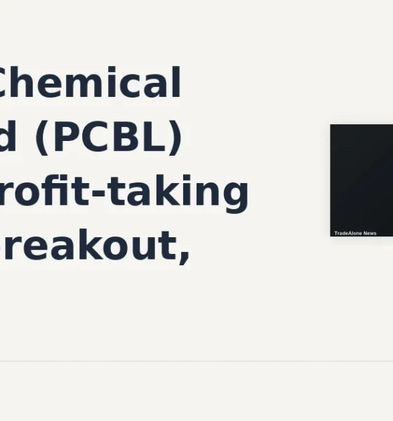 PCBL Chemical Limited NSE PCBL moves down 10% intraday