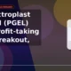 PG Electroplast Limited PGEL pullback after breakout
