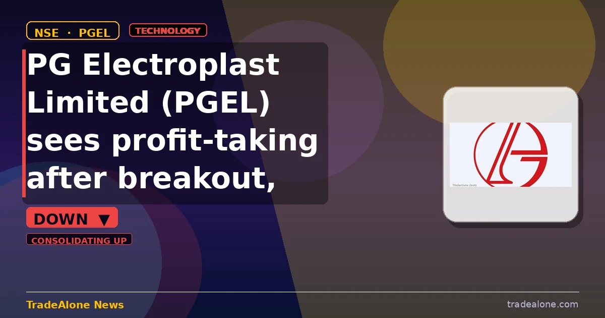 PG Electroplast Limited PGEL pullback after breakout