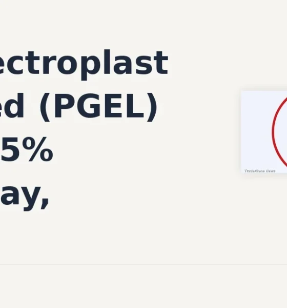 PG Electroplast Limited PGEL gains 5% intraday