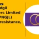 P N Gadgil Jewellers Limited PNGJL clears resistance