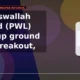 Physicswallah Limited PWL gives up ground after breakout