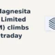 RHI Magnesita India Limited RHIM climbs 7% intraday
