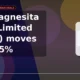RHI Magnesita India Limited RHIM stock down 5%