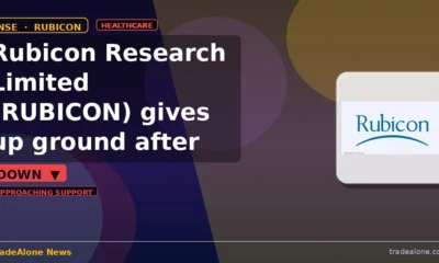 Rubicon Research Limited RUBICON 5% fall