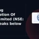 Shipping Corporation Of India Limited NSE: SCI breakdown