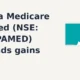 Shilpa Medicare Limited SHILPAMED extends gains