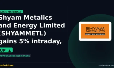 Shyam Metalics and Energy Limited SHYAMMETL gains 5% intraday