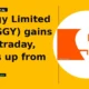 Swiggy Limited SWIGGY gains 5% intraday