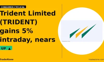 Trident Limited TRIDENT gains 5% intraday