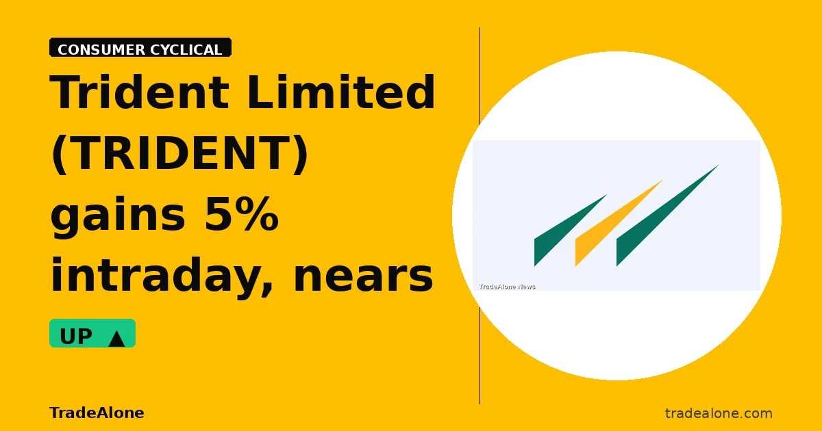 Trident Limited TRIDENT gains 5% intraday