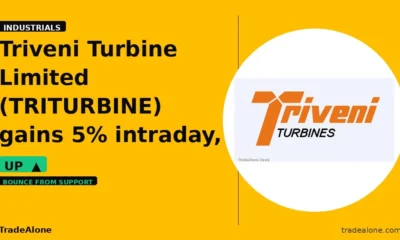 Triveni Turbine Limited TRITURBINE bounces from support