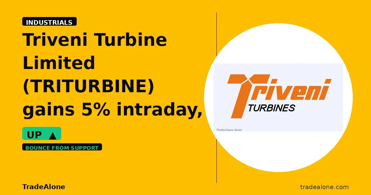 Triveni Turbine Limited TRITURBINE bounces from support