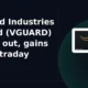 V-Guard Industries Limited VGUARD breakout