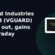 V-Guard Industries Limited VGUARD breakout