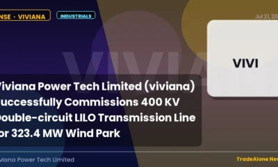Viviana Power Tech Limited Viviana July 2026 Transmission Line