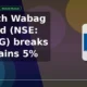 VA Tech Wabag Limited WABAG breaks out