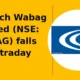 VA Tech Wabag Limited NSE WABAG breakdown