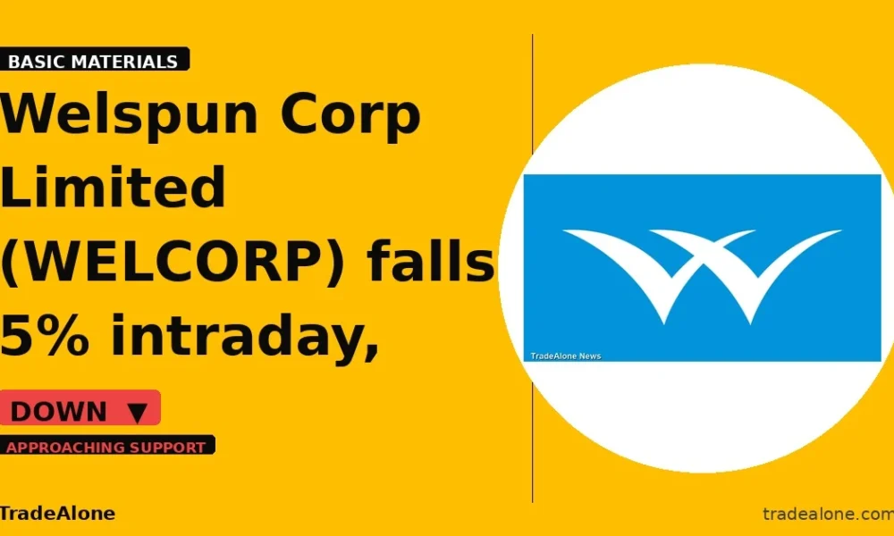 Welspun Corp Limited WELCORP falls 5% nearing support
