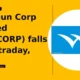 Welspun Corp Limited WELCORP falls 5% nearing support