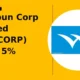 Welspun Corp Limited WELCORP gains 5% intraday