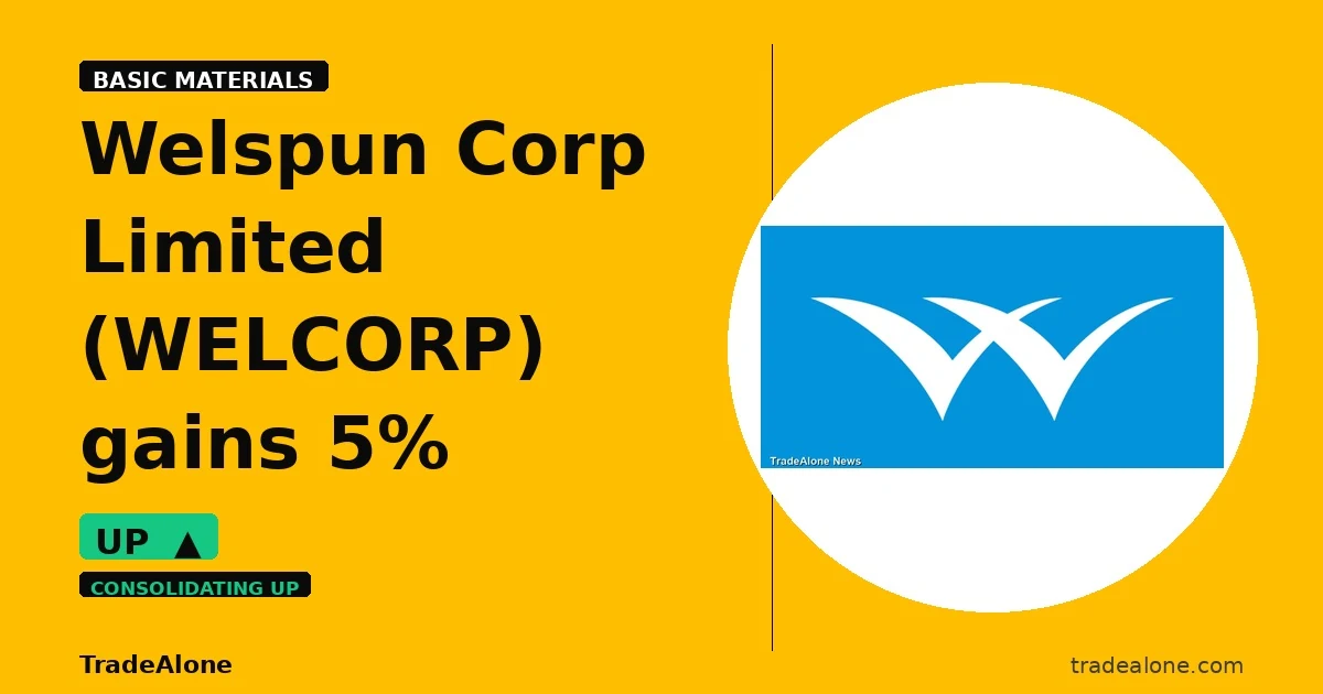 Welspun Corp Limited WELCORP gains 5% intraday